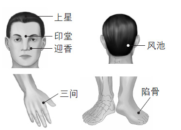 鼻塞、打鼾等鼻子問題的防治